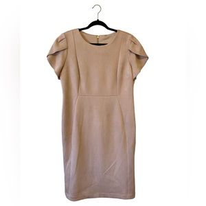 NWT CALVIN KLEIN Short Sleeve Dusty Pink Midi Dress